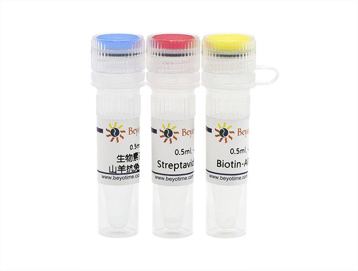 SABC-AP Kit with Anti-Rabbit IgG (IHC&ICC)